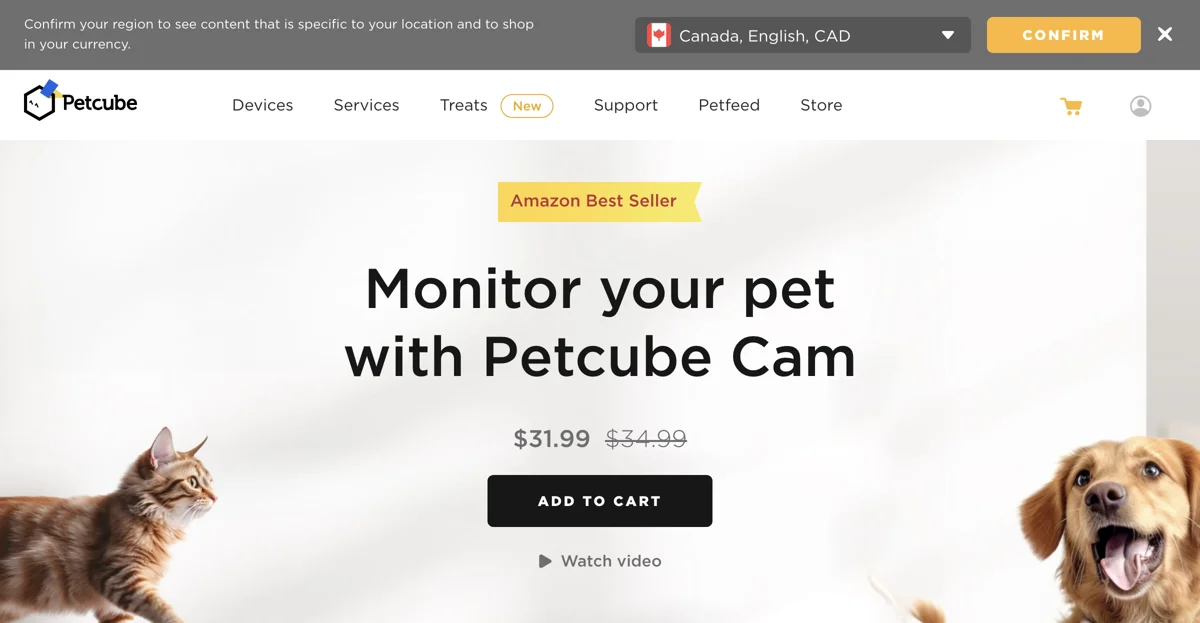 Petcube Cam: Kết Nối Với Thú Cưng Mọi Lúc, Mọi Nơi