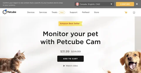 Petcube Cam