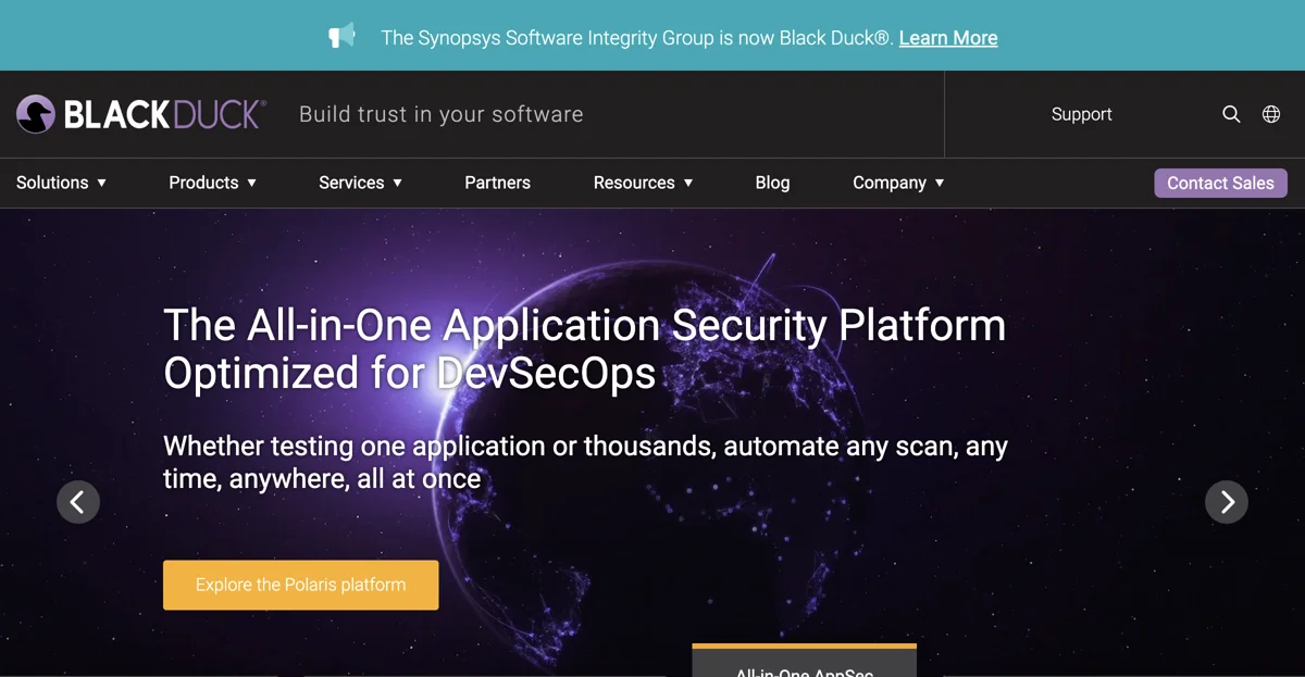 Black Duck: Comprehensive Application Security Solutions