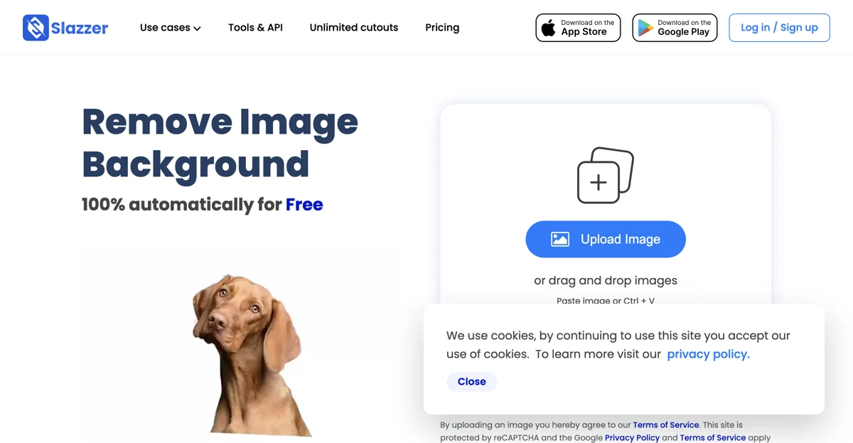 Effortlessly Remove Image Backgrounds with Slazzer