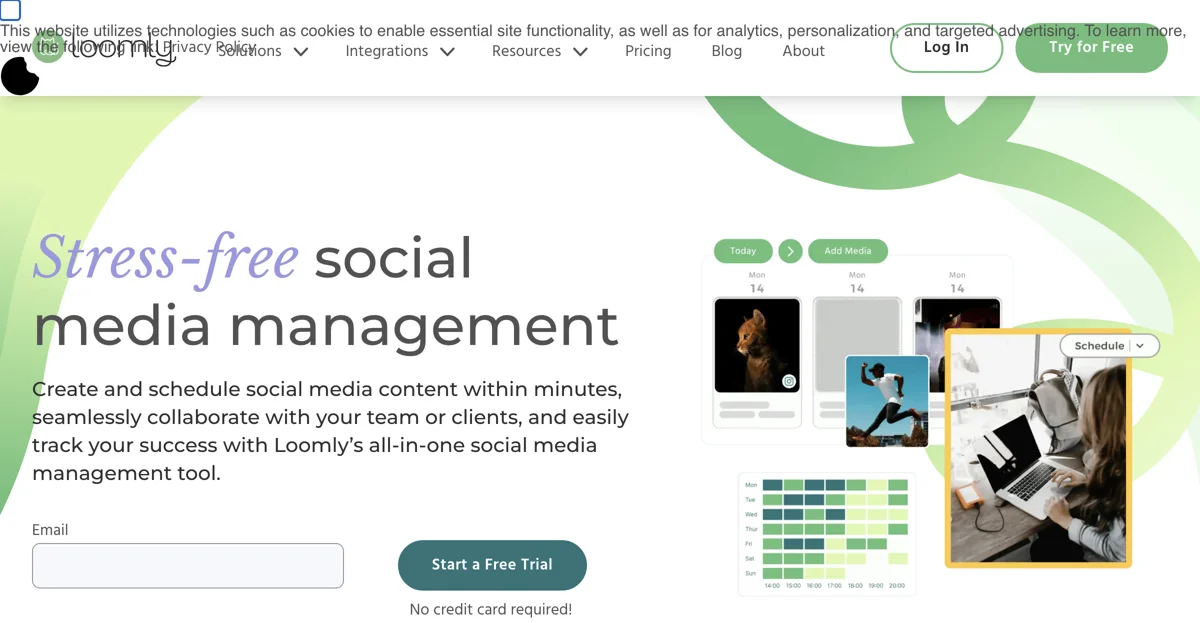 Master Social Media Management with Loomly's Powerful Tools