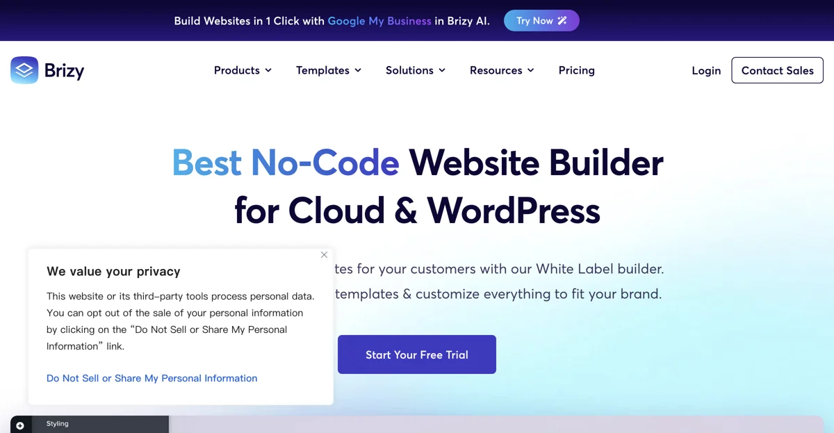 Create Stunning Websites Effortlessly with Brizy - The Best No-Code Builder