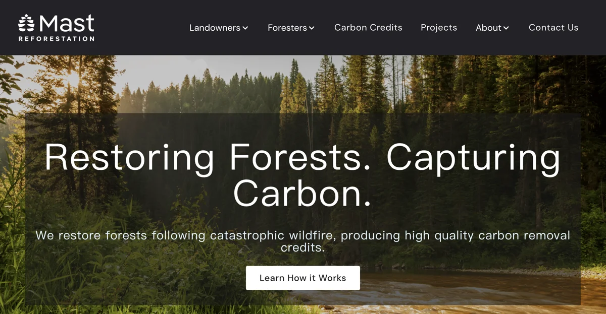 Mast Reforestation: Restoring Forests and Capturing Carbon