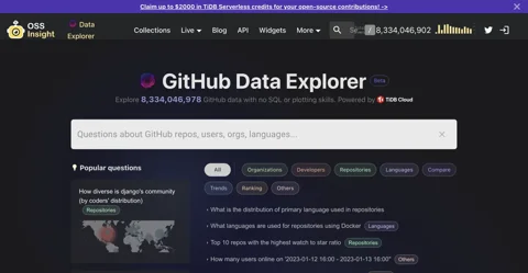 GitHub Data Explorer