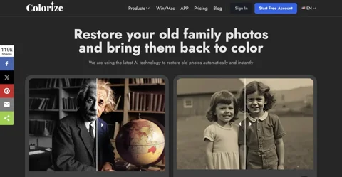 ImageColorizer