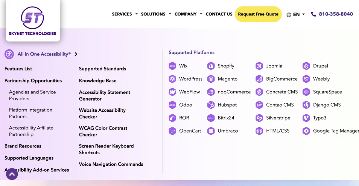 All in One Accessibility: ウェブアクセシビリティを簡単に