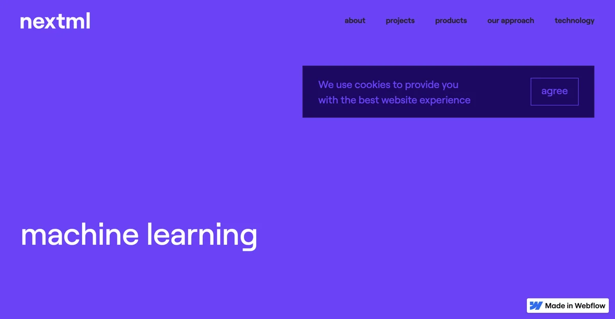 Nextml: Leading Machine Learning Innovations for Businesses