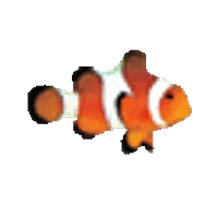 Clownfish Voice Changer