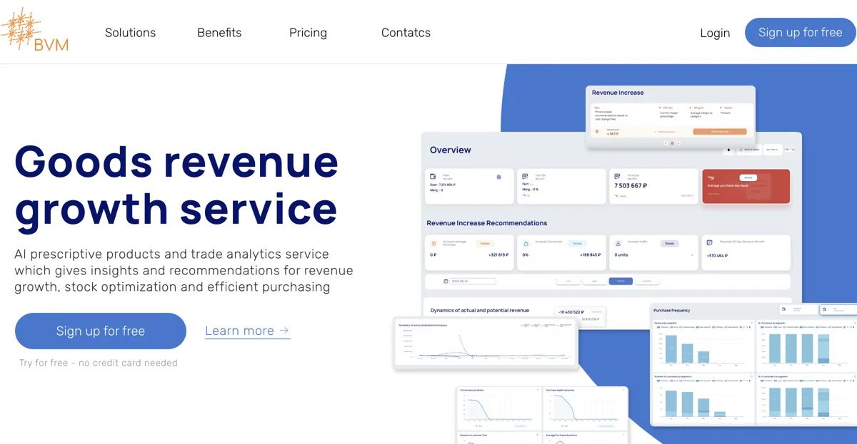 BVM: The AI Tool for Revenue Growth and Analytics