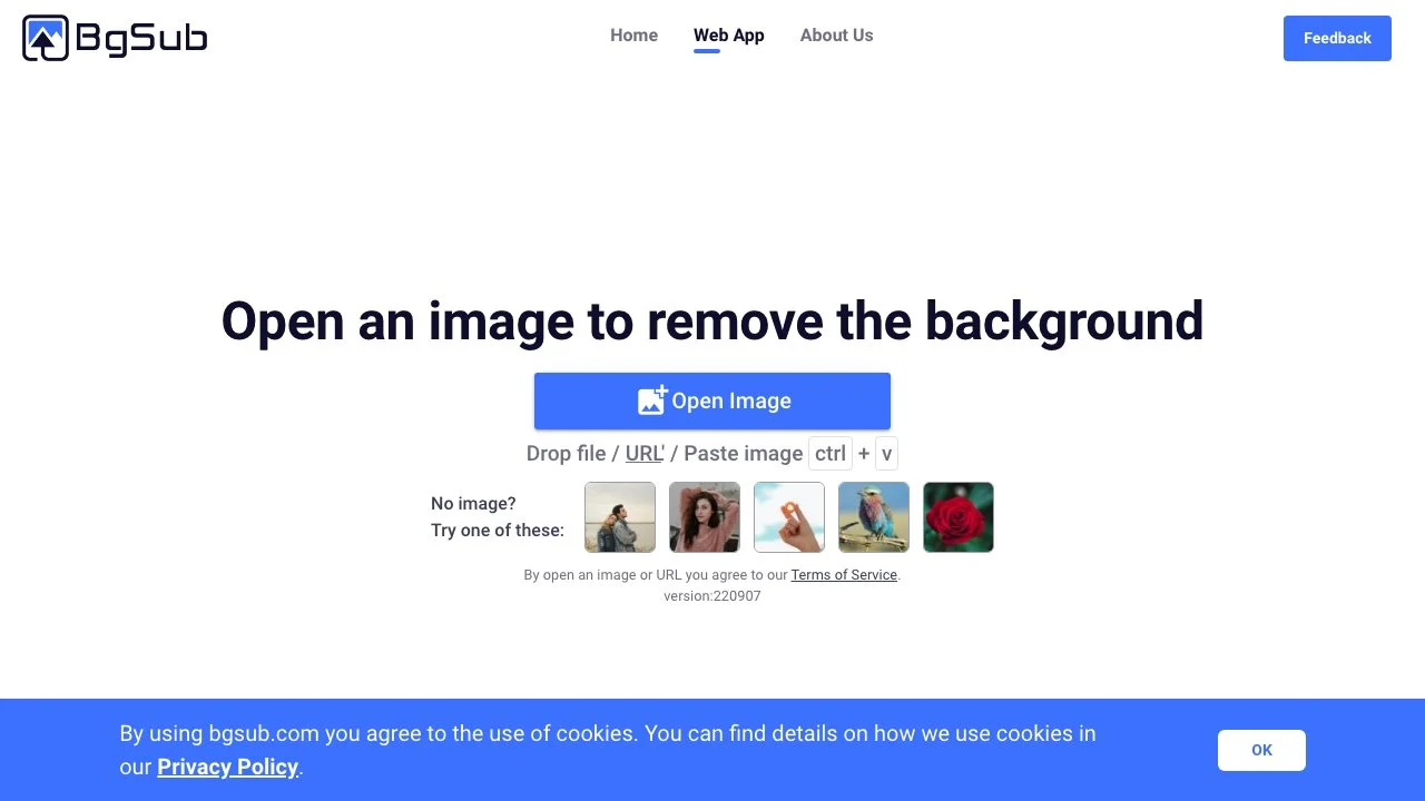 Remove Image Background Effortlessly with BgSub