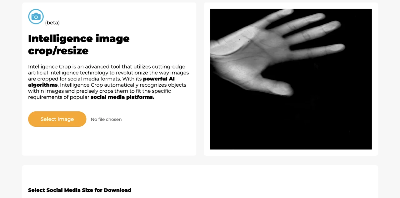 Intelligence Crop: AI-Powered Image Cropping for Social Media
