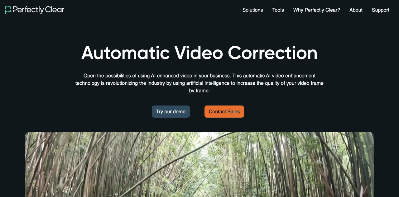 Perfectly Clear: Automatic AI Video Enhancer for Businesses