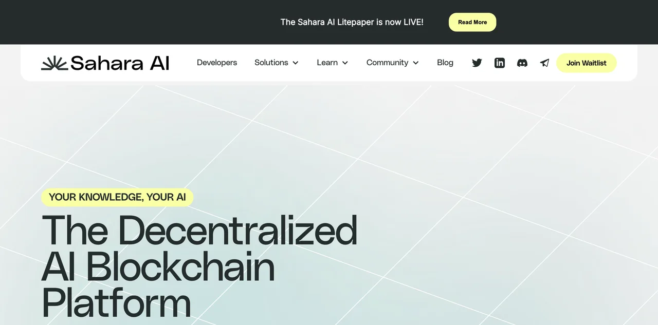 Sahara AI: The Decentralized AI Blockchain Platform for a Collaborative Economy