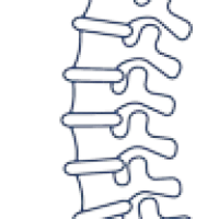 CoLumbo: The Future of Lumbar Spine MRI Reporting