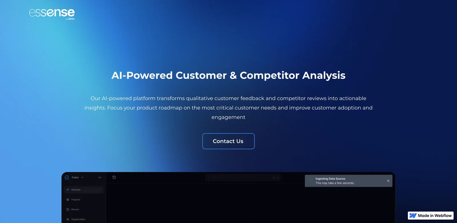 Essense: AI-Powered Customer Insights for Better Business Decisions