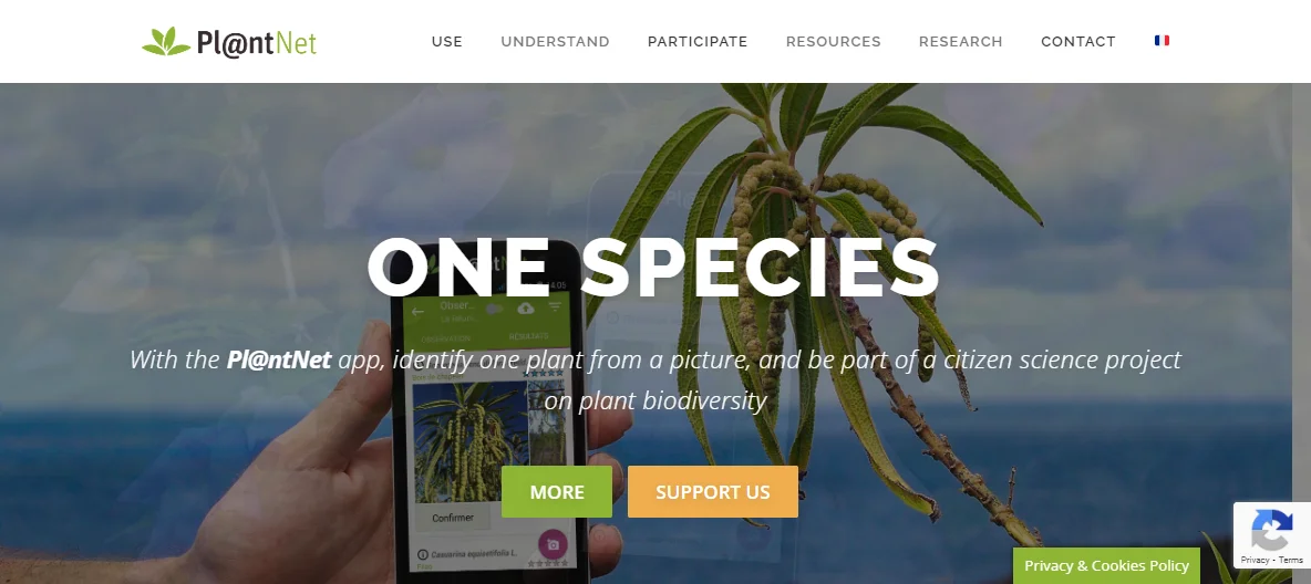 Pl@ntNet: AI-Powered Plant Identification for Biodiversity Research