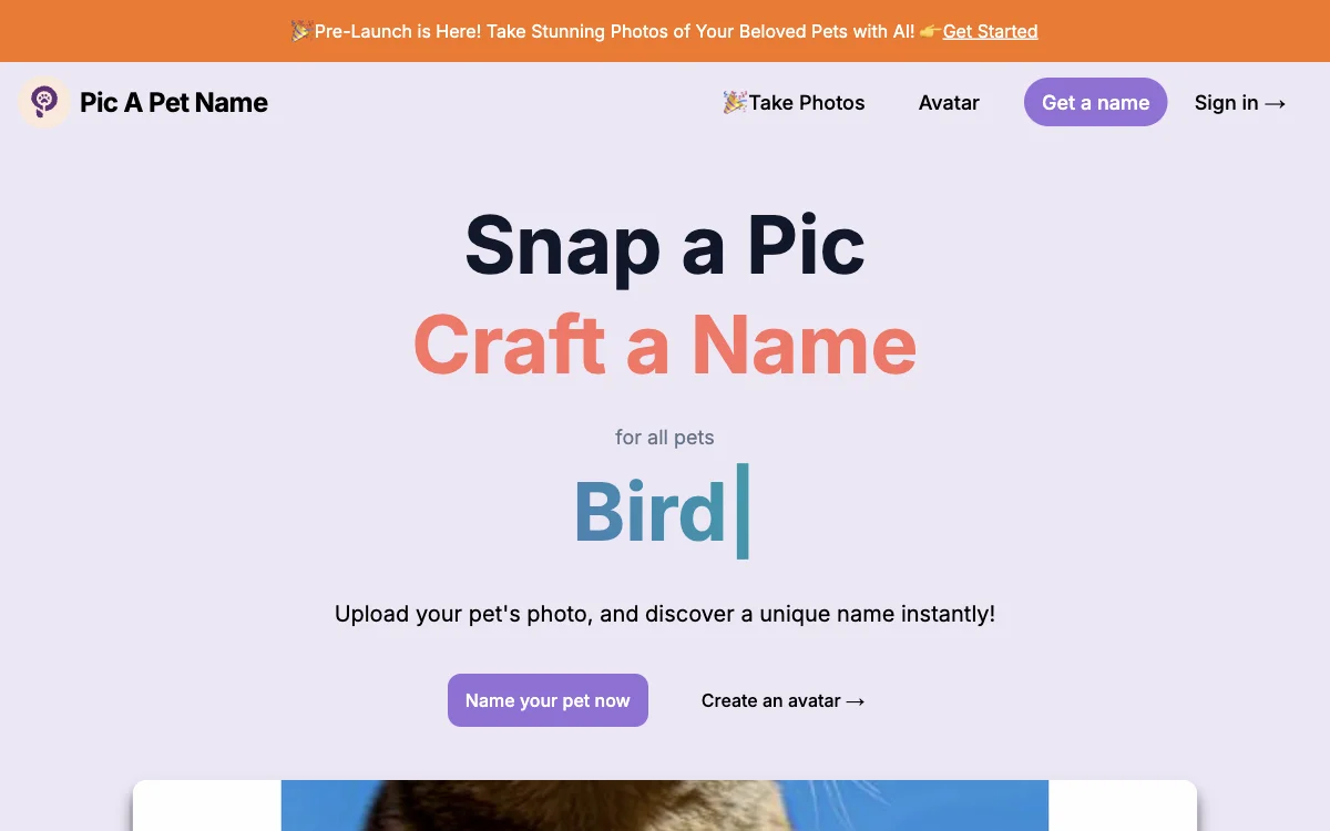 Pic A Pet Name - 借助AI从宠物照片生成独特名字