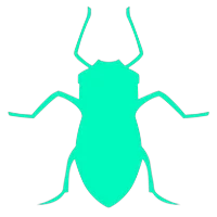 Aphid