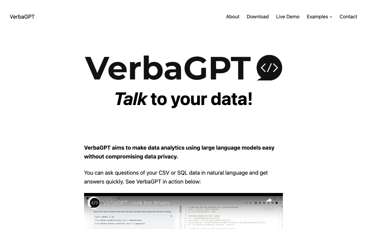 VerbaGPT: Talk to Your Data with Ease and Privacy