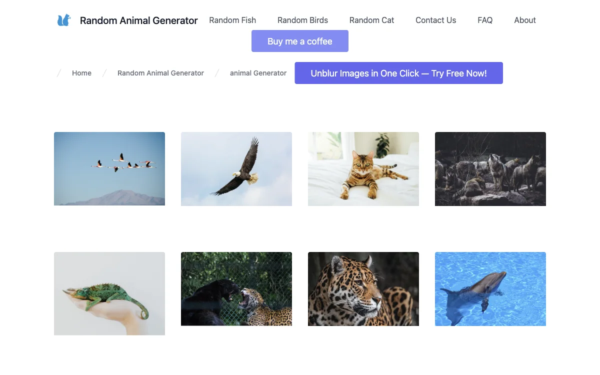 随机动物生成器：一键生成多样动物图片，轻松查看、下载与分享