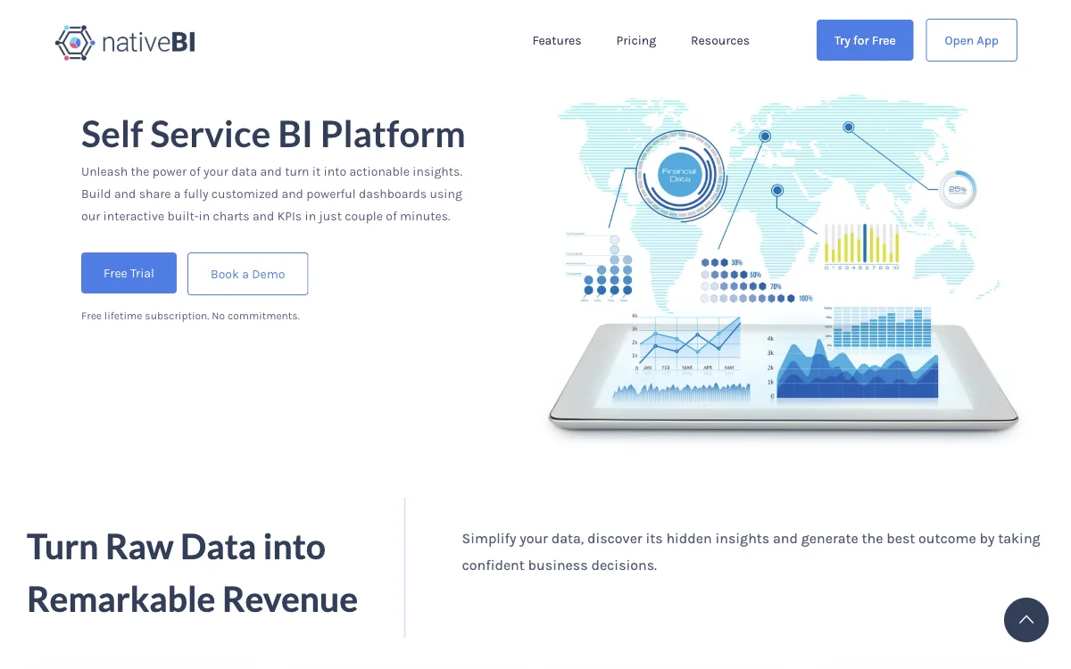 NativeBI: Simplify Data and Drive Business Decisions with AI-Powered Analytics