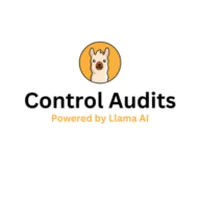 Control Audits