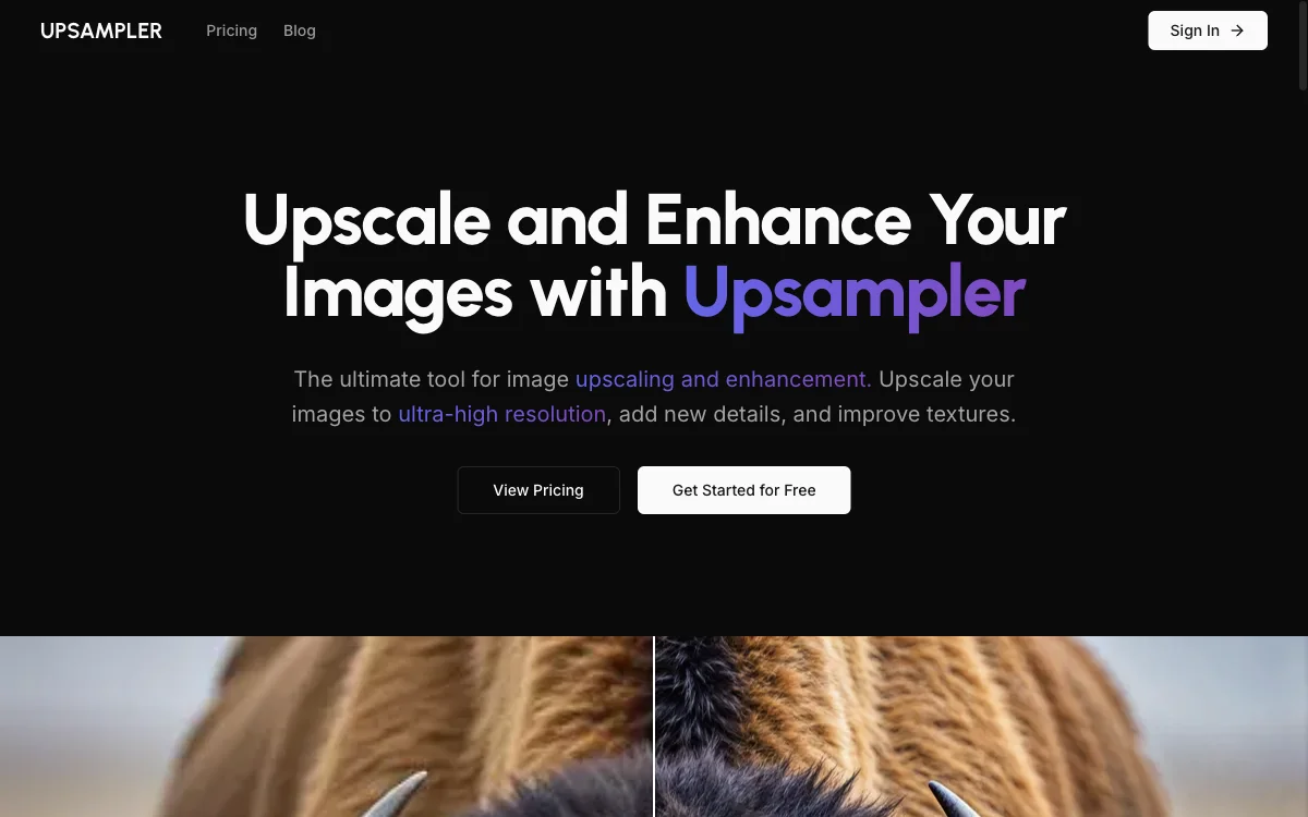 Upscale and Enhance Images with AI - Upsampler