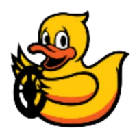 Duckietown