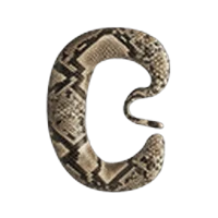 Python Converter